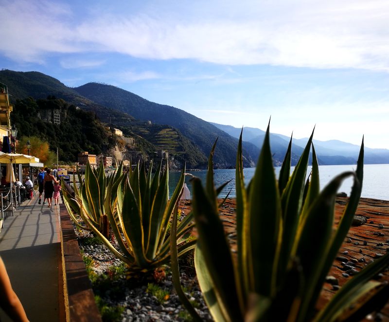 Monterosso, la plage