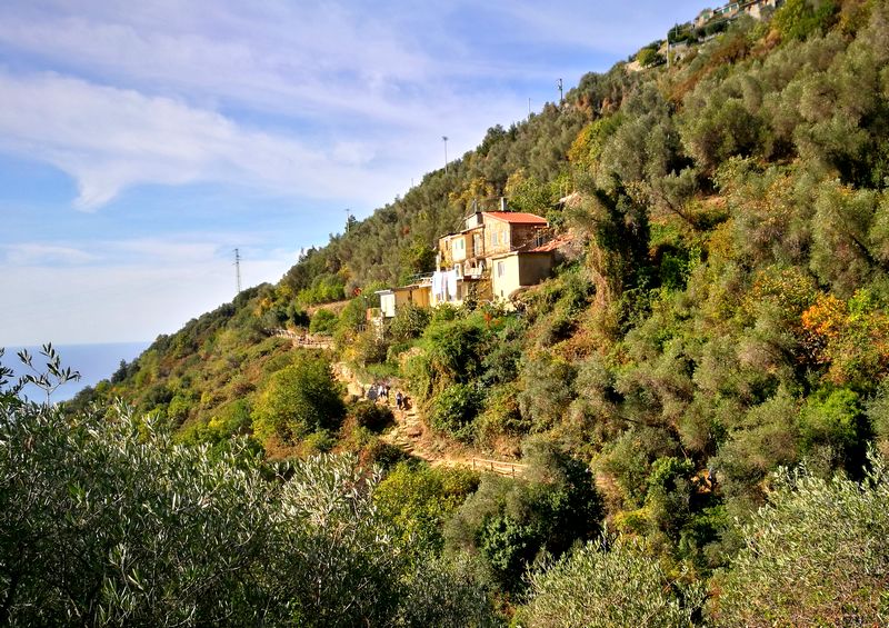 Randonnée au cinq terres